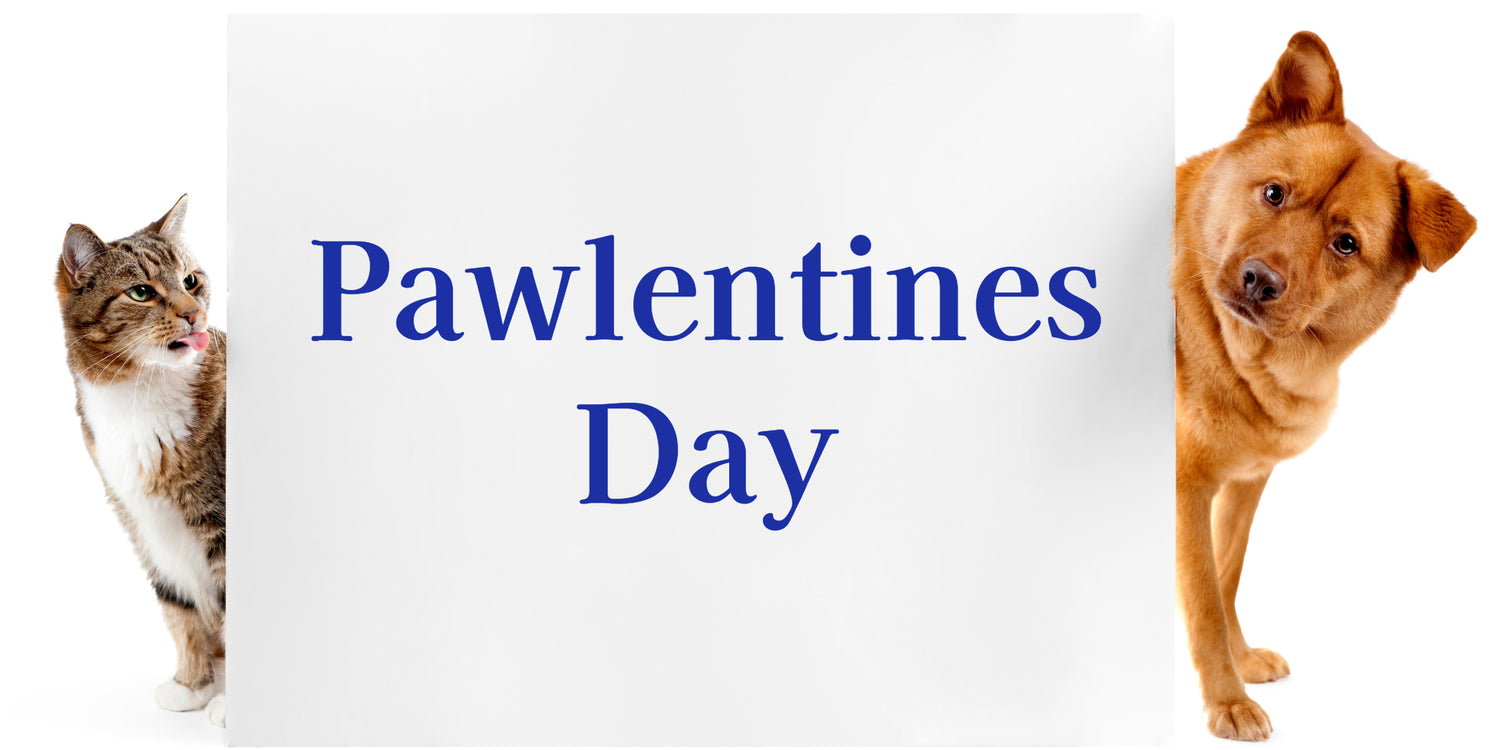 Pawlentine's Day