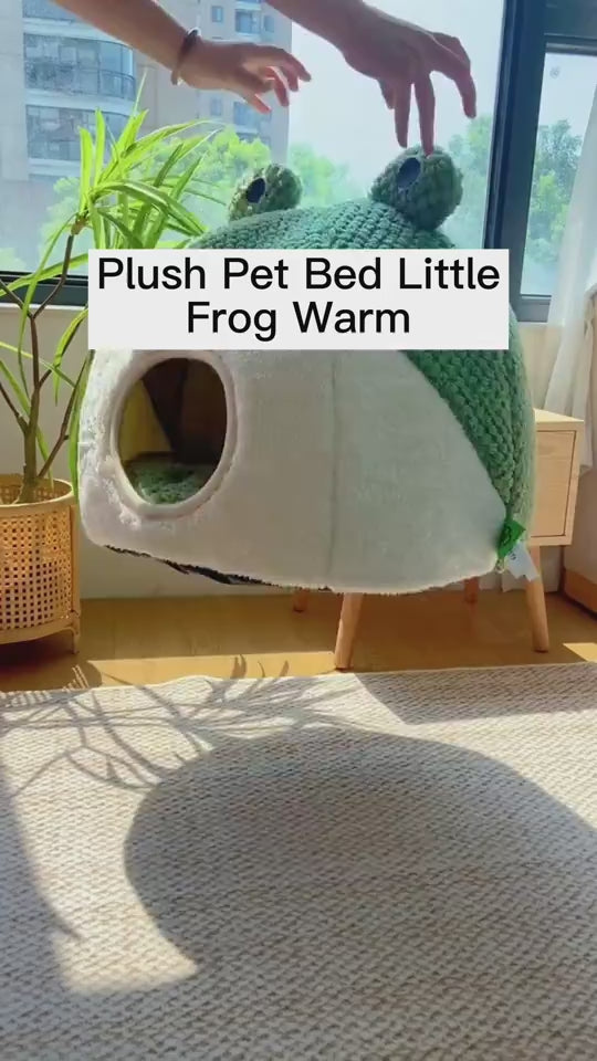 Video of frog shaped pet bed